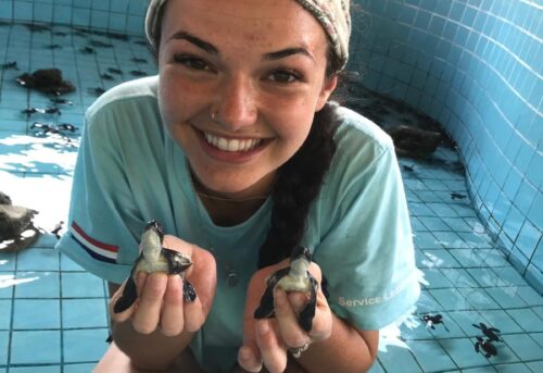 Jenna and Sea Turtles